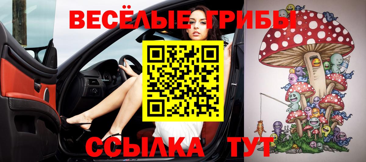Алатырь  Псилоцибиновые грибы Magic Shrooms  Вход с VPN 